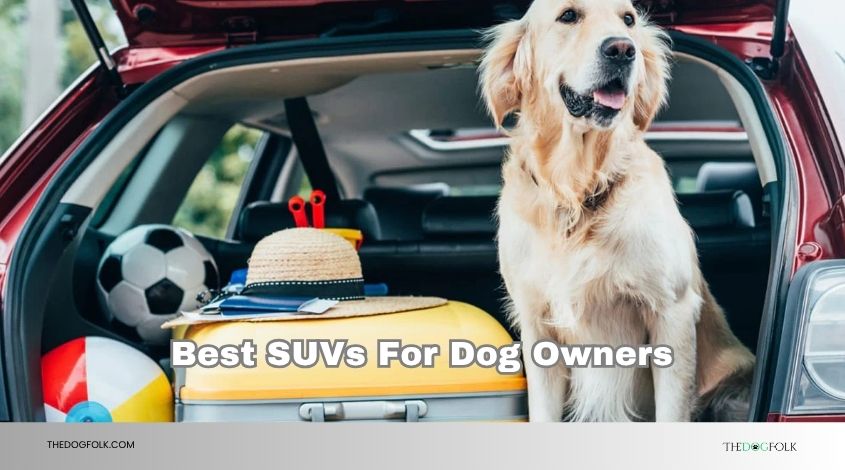 best suvs for dog owners