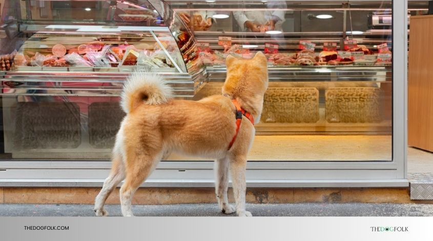 can you bring dogs into whole foods