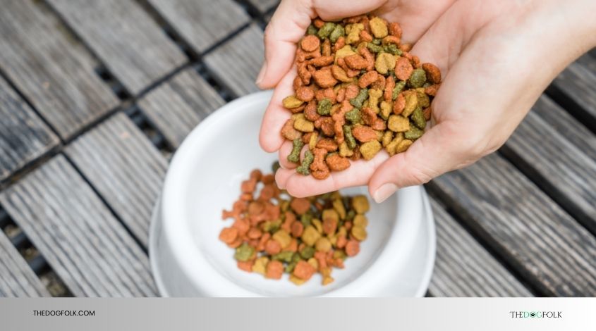 can you change dog food flavors but same brand