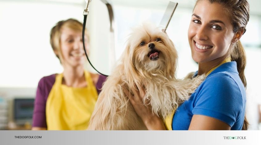 how much should you tip dog groomer