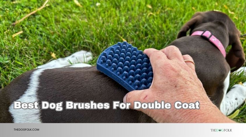best dog brushes for double coat