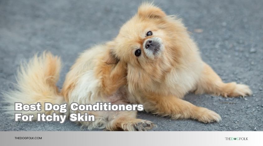 best dog conditioners for itchy skin