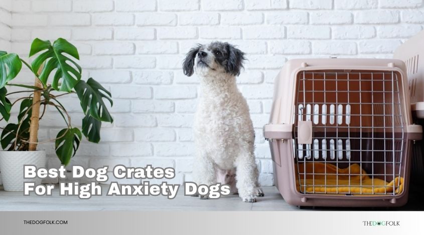 best dog crates for high anxiety dogs