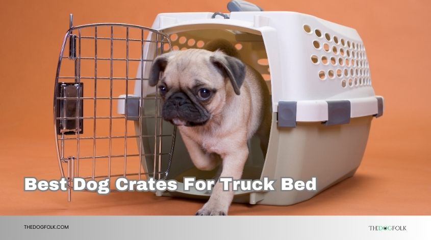 best dog crates for truck bed