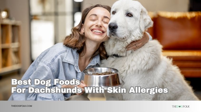 best dog foods for dachshunds with skin allergies