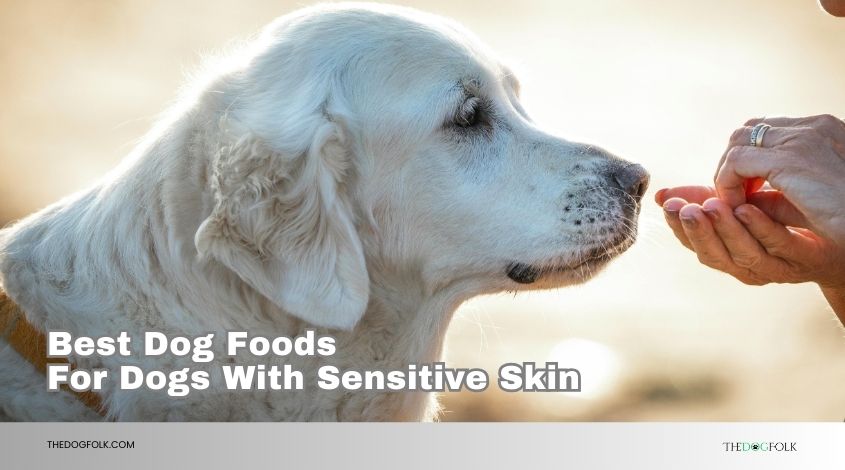 best dog foods for dogs with sensitive skin