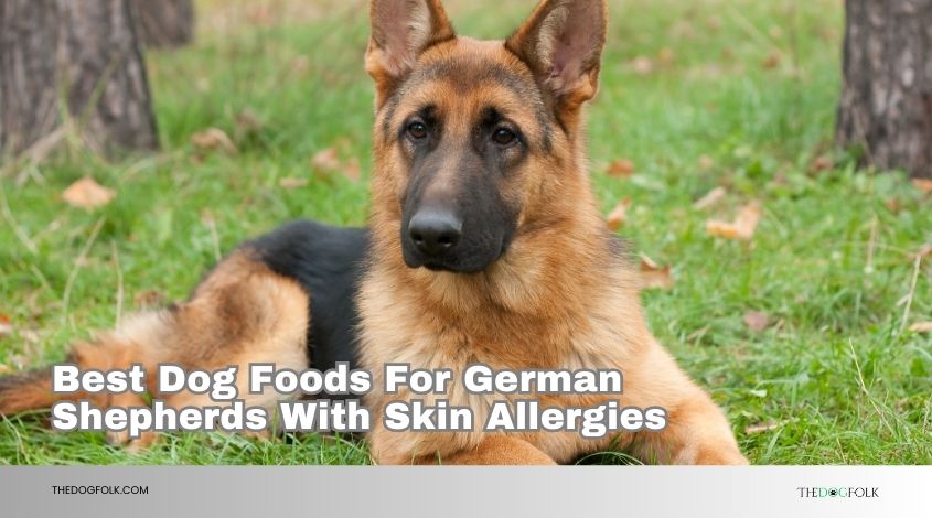 best dog foods for german shepherds with skin allergies
