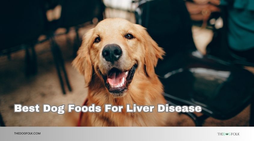 best dog foods for liver disease