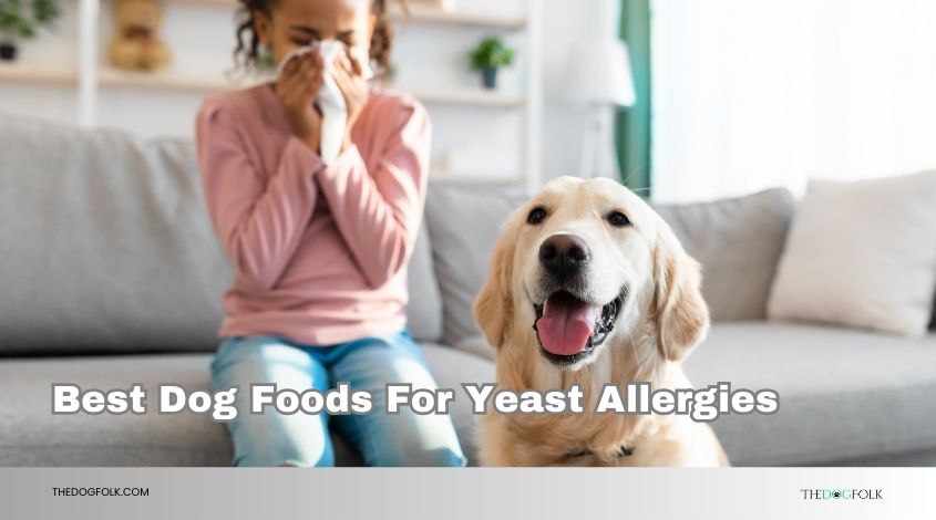 best dog foods for yeast allergies