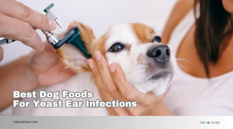 Image showcasing The 10 Best Dog Foods For Yeast Ear Infections In 2026 - TheDogFolk