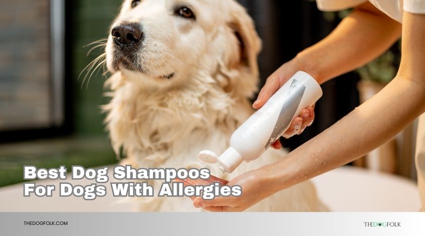 best dog shampoos for dogs with allergies