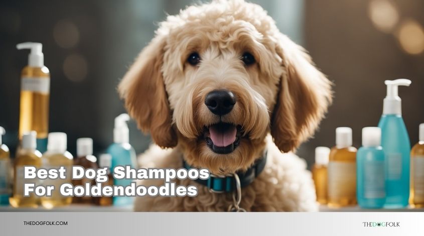 best dog shampoos for goldendoodles