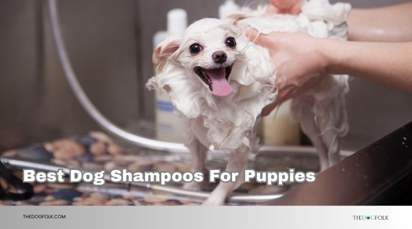 best dog shampoos for puppies