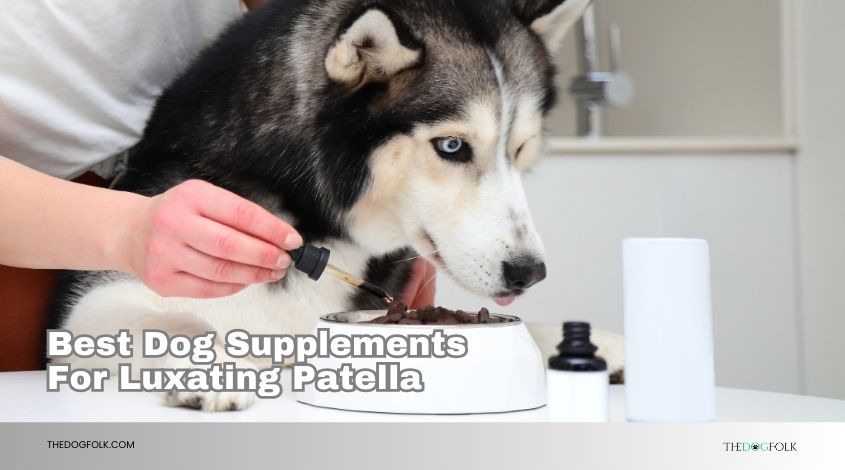 best dog supplements for luxating patella