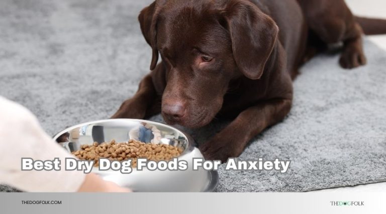 Top 10 Best Dry Dog Foods For Anxiety 2026: Top Picks - TheDogFolk