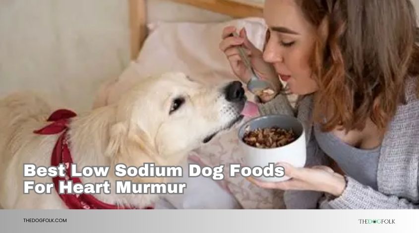 best low sodium dog foods for heart murmur