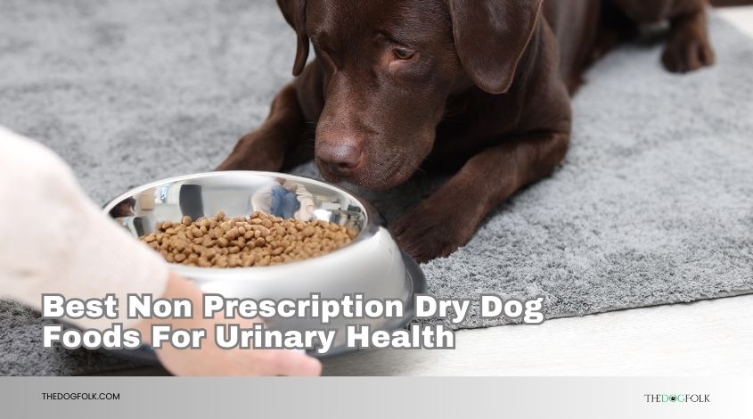 best non prescription dry dog foods for urinary health