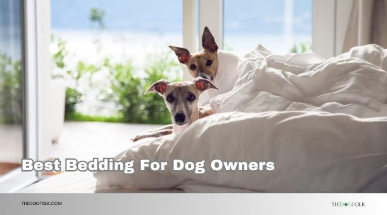 10 Best Bedding For Dog Owners – Top Picks Of 2026 - TheDogFolk