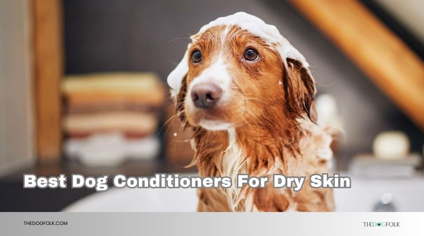 best dog conditioners for dry skin