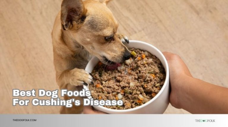 The 10 Best Dog Foods For Cushing's Disease 2026, According to Experts ...