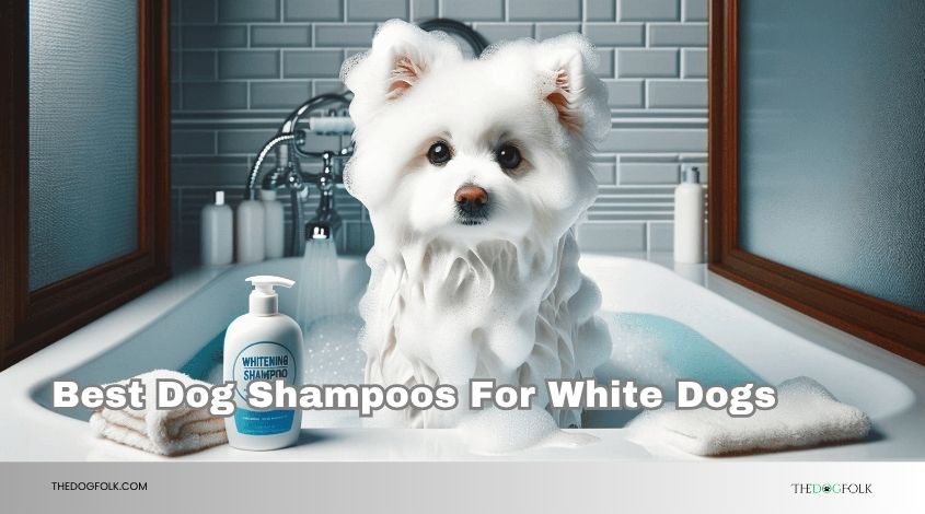 best dog shampoos for white dogs