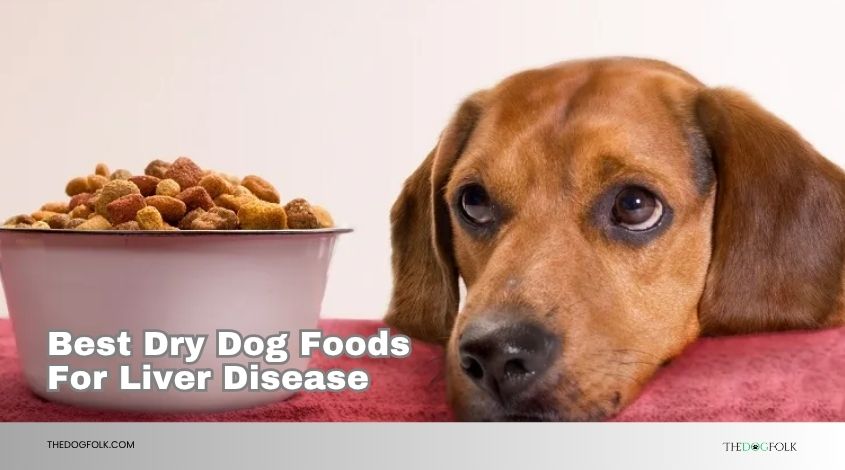 best dry dog foods for liver disease