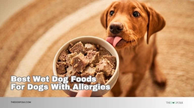 10 Best Wet Dog Foods For Dogs With Allergies Of 2026, Tested by ...