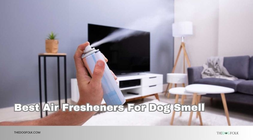 best air fresheners for dog smell