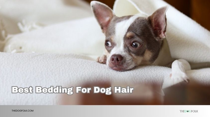 best bedding for dog hair