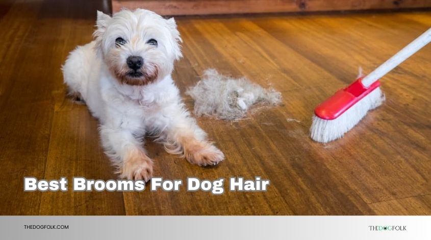 best brooms for dog hair