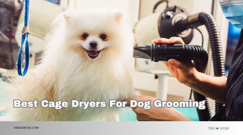best cage dryers for dog grooming