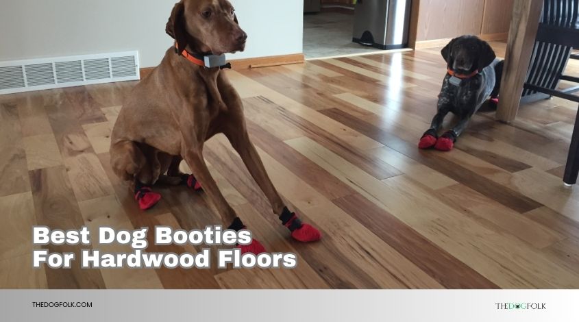 best dog booties for hardwood floors