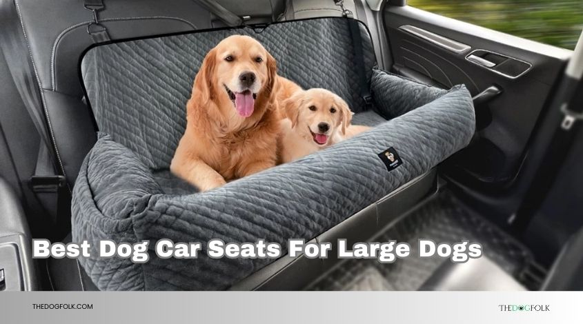 best dog car seats for large dogs