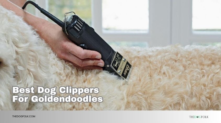 best dog clippers for goldendoodles
