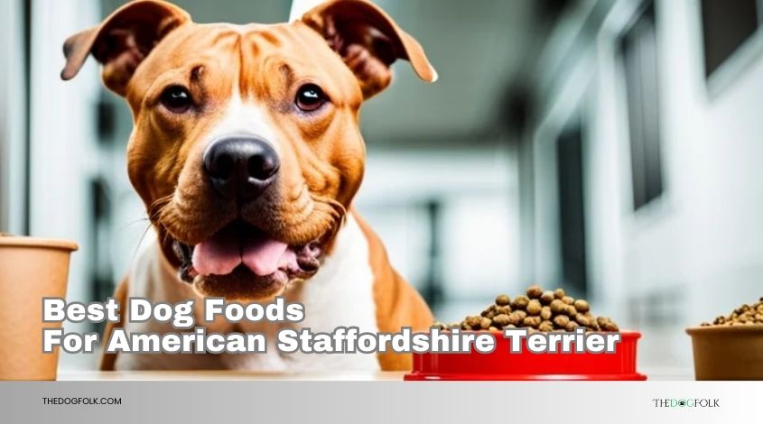best dog foods for american staffordshire terrier