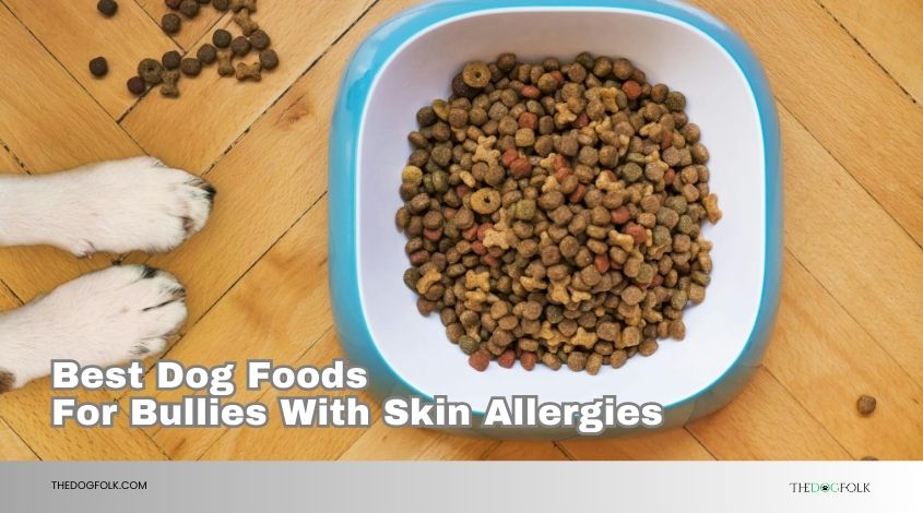 best dog foods for bullies with skin allergies