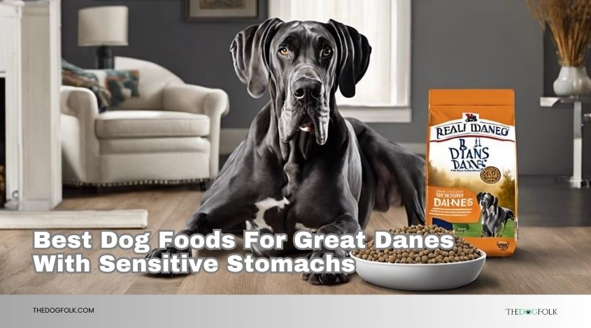 best dog foods for great danes with sensitive stomachs