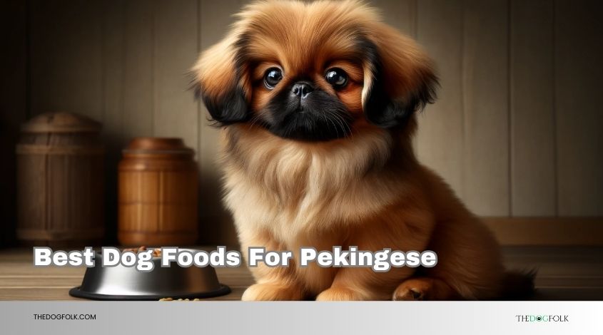 best dog foods for pekingese
