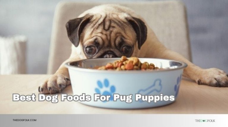 Our 10 Best Dog Foods For Pug Puppies 2026, According to Experts ...