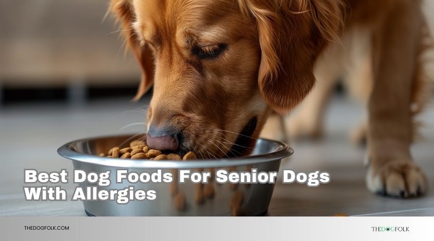 best dog foods for senior dogs with allergies