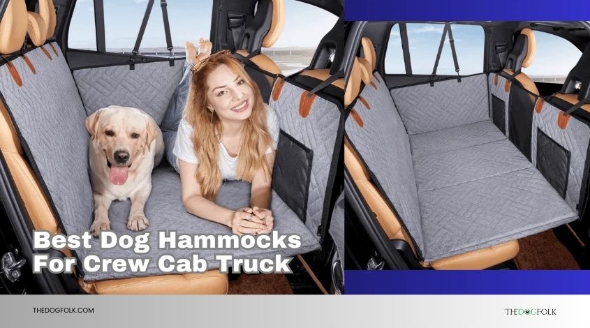 best dog hammocks for crew cab truck