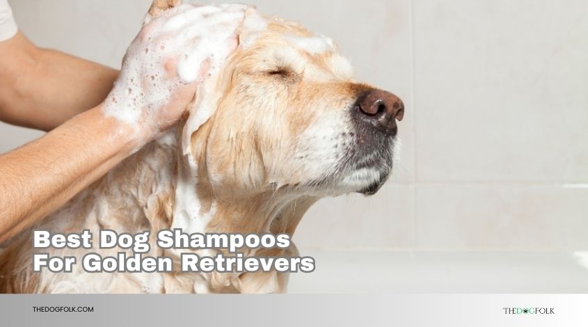 best dog shampoos for golden retrievers