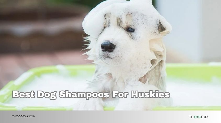 best dog shampoos for huskies