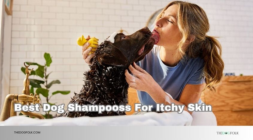best dog shampooss for itchy skin