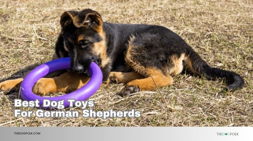 best dog toys for german shepherds