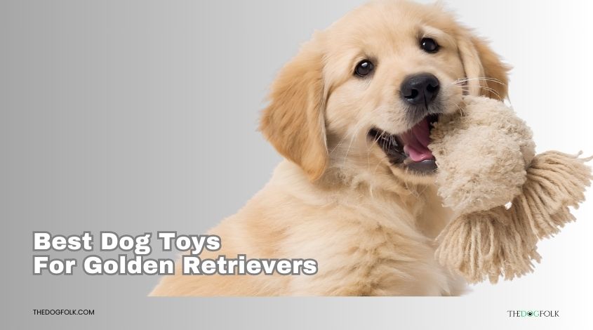 best dog toys for golden retrievers