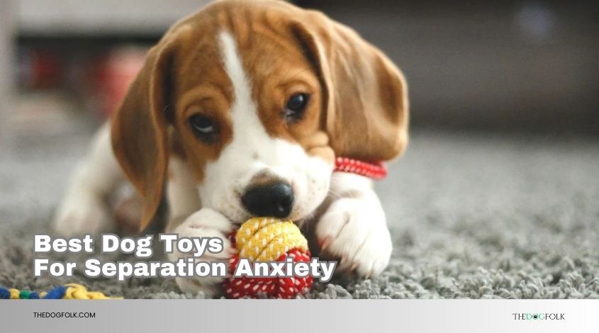 best dog toys for separation anxiety