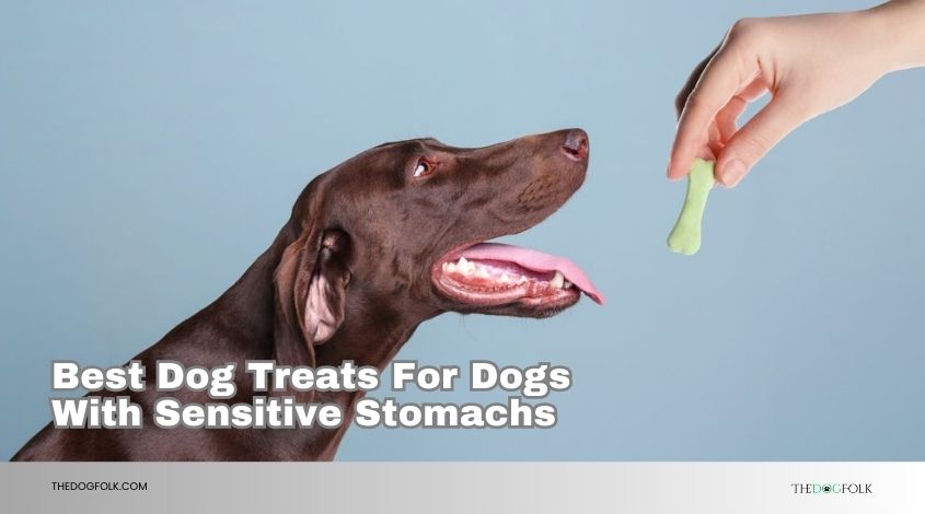 best dog treats for dogs with sensitive stomachs