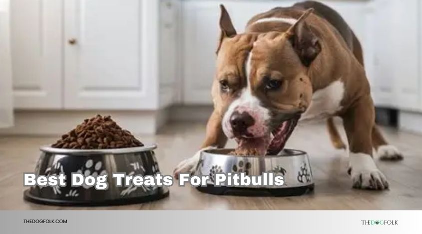 best dog treats for pitbulls
