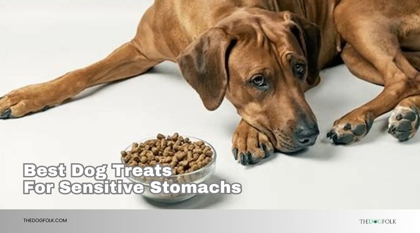 best dog treats for sensitive stomachs